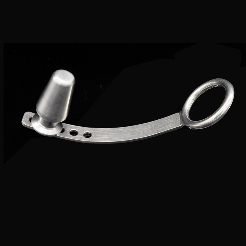 Stainless Steel Butt Plug with Cock Ring
