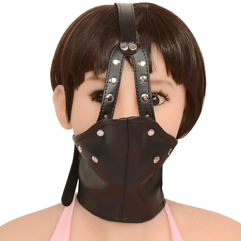 Head Harness with Mouth Gag