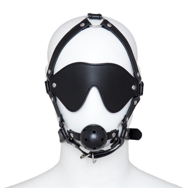 Blindford and Mouth Gag Harness