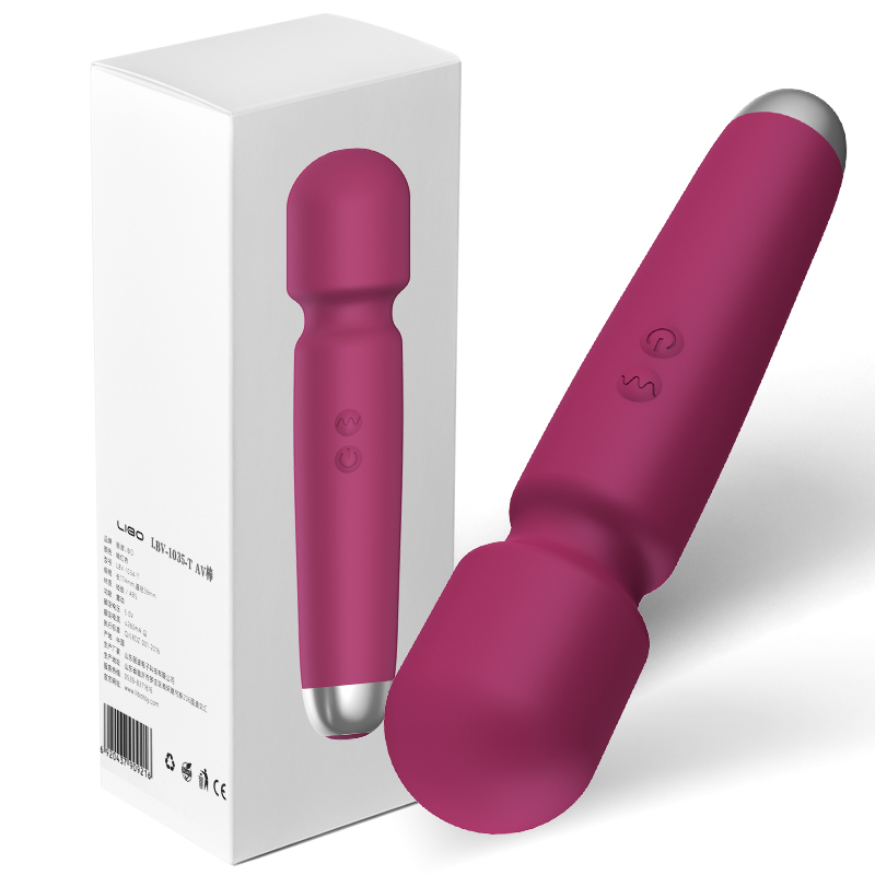 Affordable Luxury Wand Massager - L