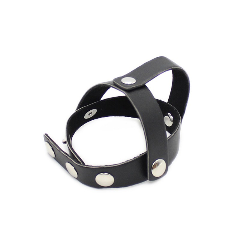 Strict Leather Ball Harness